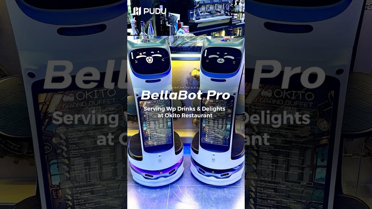 Pudu BellaBot Pro köpek robot
