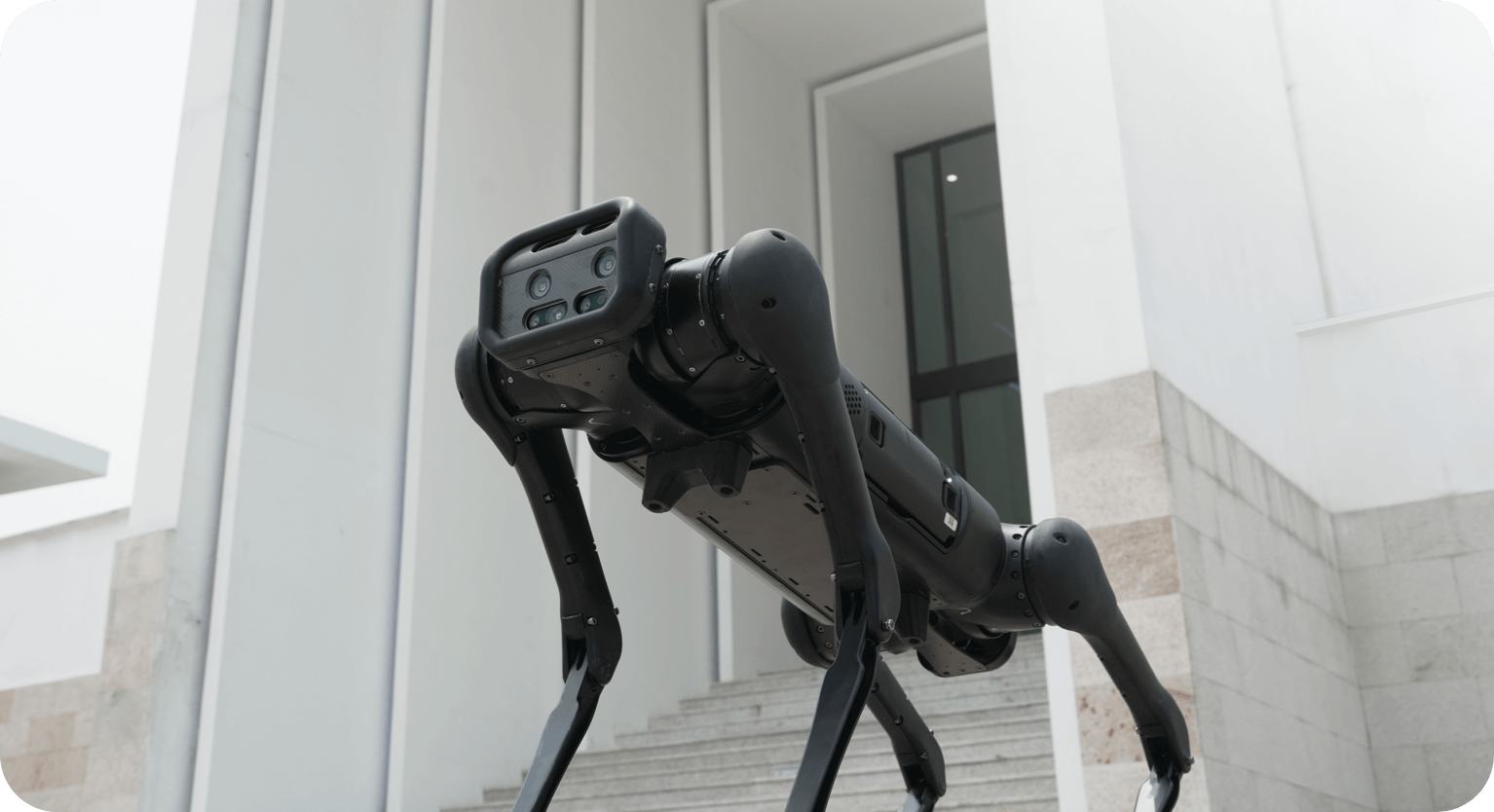 Unitree Aliengo köpek robot