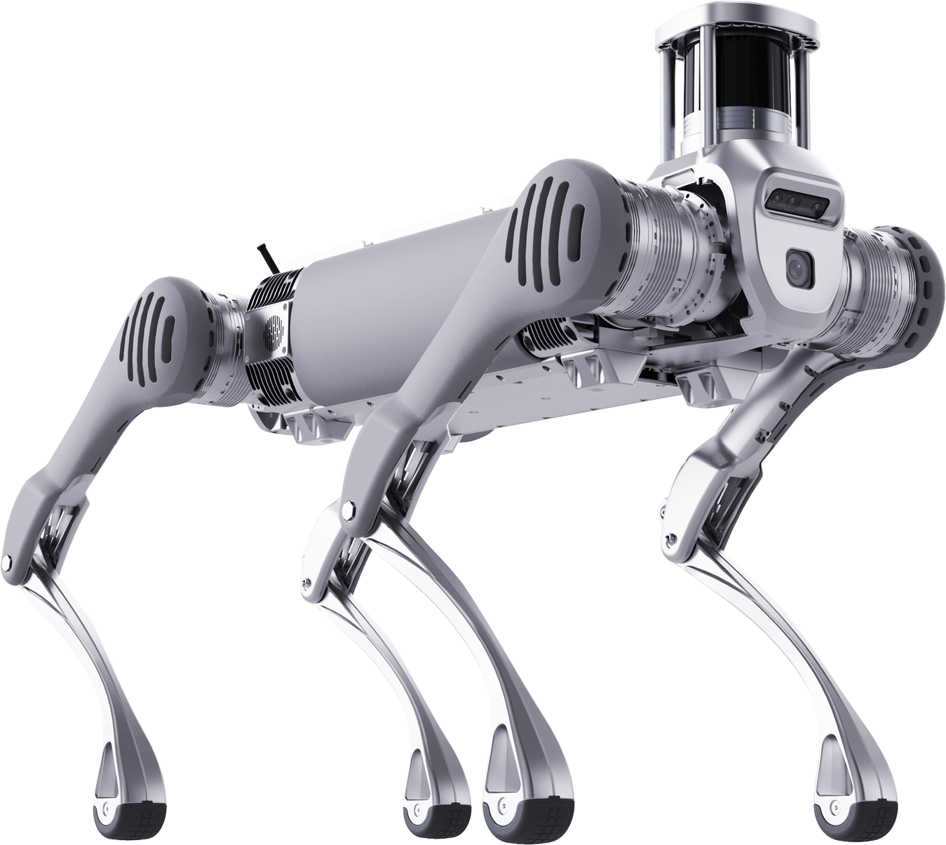 Unitree B2 köpek robot