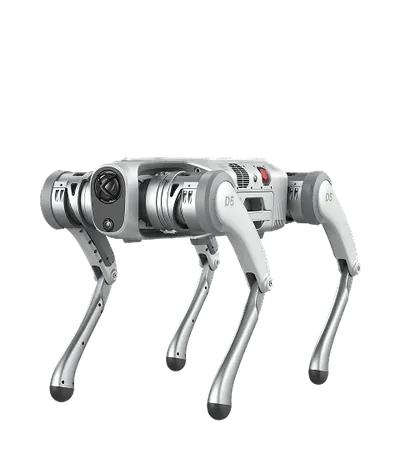 PUDU D5